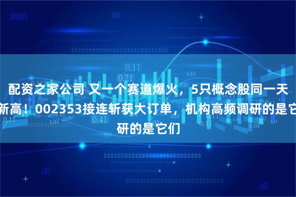 配资之家公司 又一个赛道爆火，5只概念股同一天创新高！002353接连斩获大订单，机构高频调研的是它们